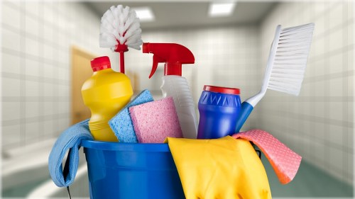 Professional upholstery cleaning in a Twickenham living room