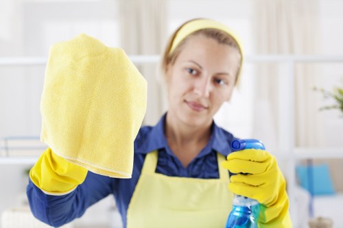 Twickenham Carpet Cleaners introducing professional carpet care in a local home