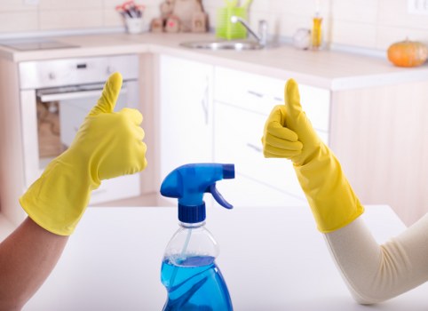 Deep cleaning upholstery after pet stain odour problems in Twickenham