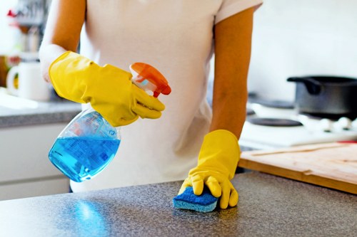 Carpet care and maintenance service in Twickenham
