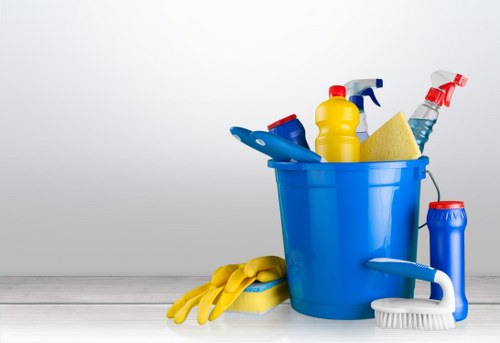 Manager checking complaint resolution steps for carpet cleaning service