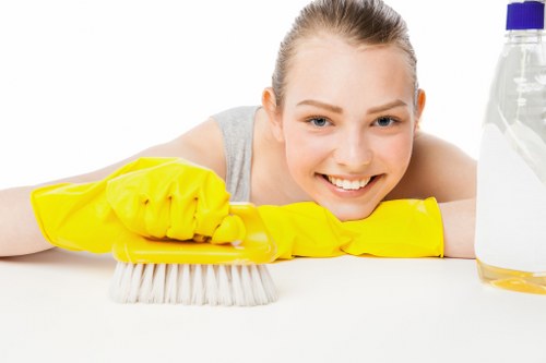 Specialist cleaning for different sofa materials in Twickenham