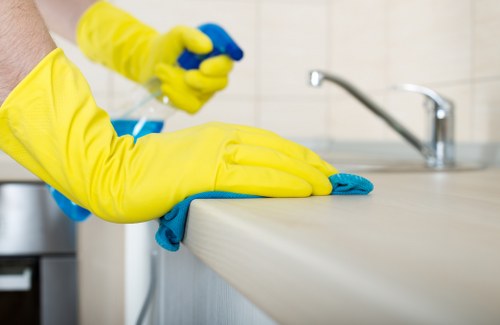 Local pet stain and odour neutralisation service in a Twickenham property