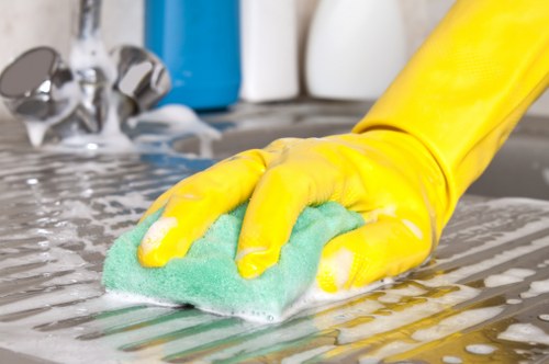 Internal review of carpet cleaning service records and notes