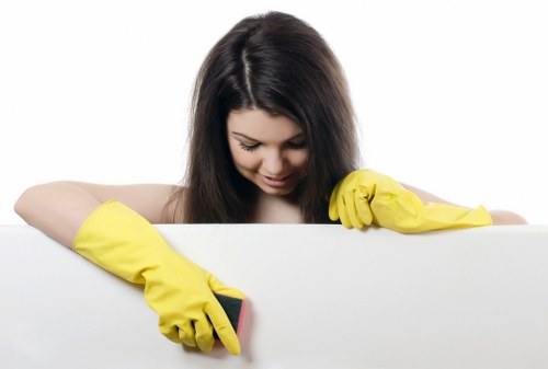 Twickenham home carpet cleaning for pet urine and odour removal